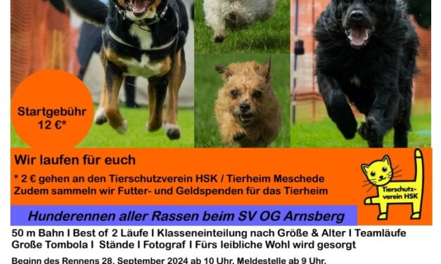 Hunderennen beim SV OG Arnsberg