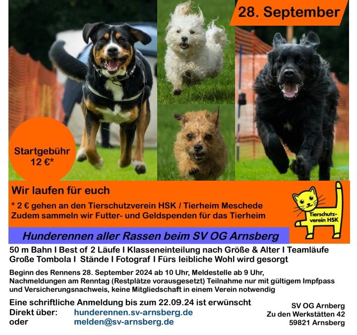 Hunderennen beim SV OG Arnsberg