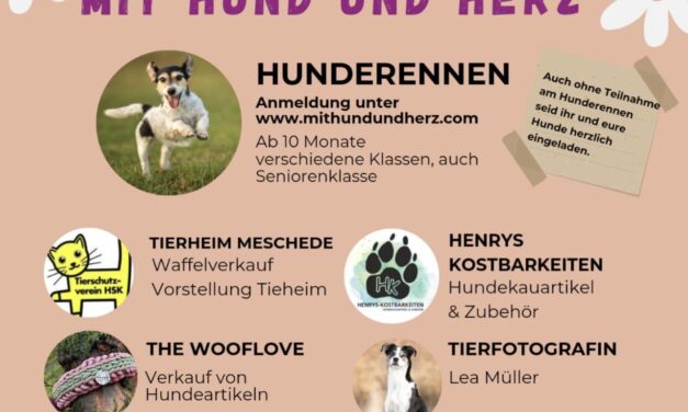 Jubiläumsfest 10 Jahre Mit Hund und Herz