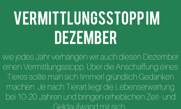 Vermittlungsstopp im Dezember